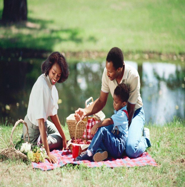 Picnic image 1